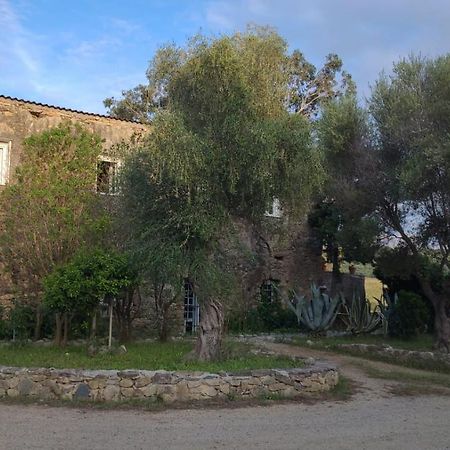 Bed and Breakfast Domaine Ostriconi Palasca  Экстерьер фото