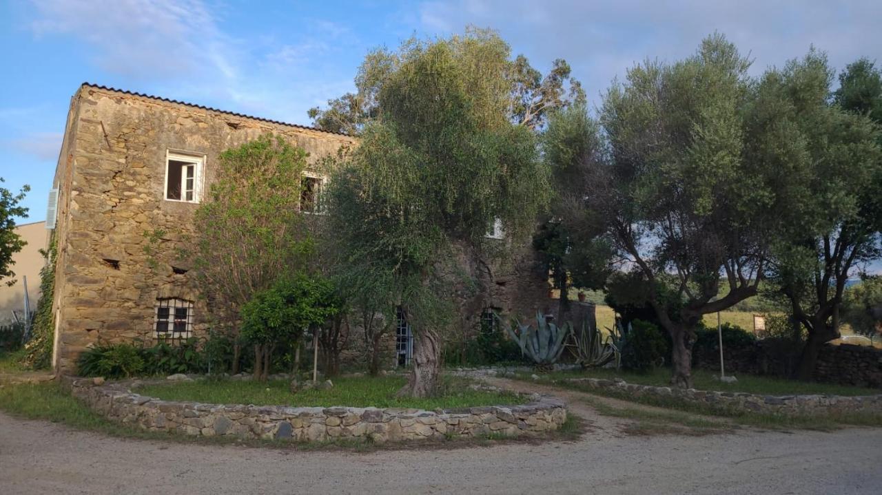 Bed and Breakfast Domaine Ostriconi Palasca  Экстерьер фото